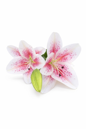 Crin artificial alb cu roz elegant, 2 flori si boboc pe fir unic 63 cm [1]