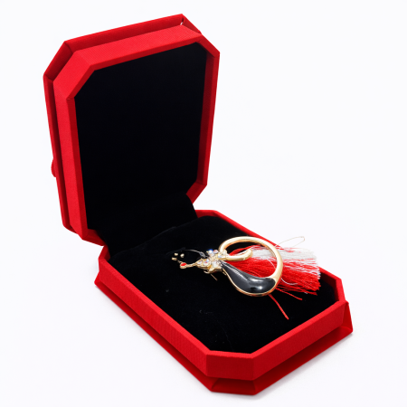 Brose ambalate elegant - Brosa Martisor Pisica Neagra in cutie de catifea