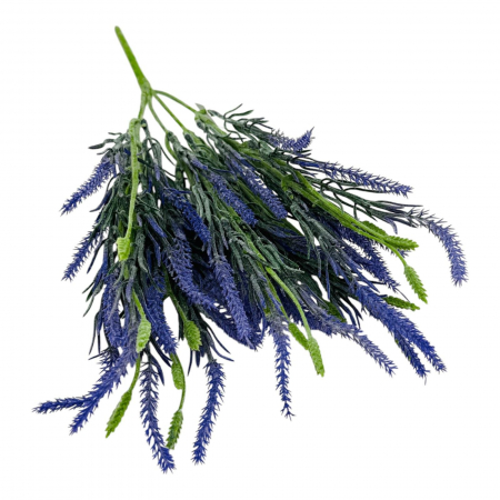 Buchet deosebit de Lavanda 5 crengute, un singur fir, 40 cm,   [3]