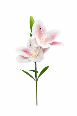 Flori Artificiale - Crin artificial alb cu accente discrete roz, 2 flori si boboc pe fir unic 63 cm