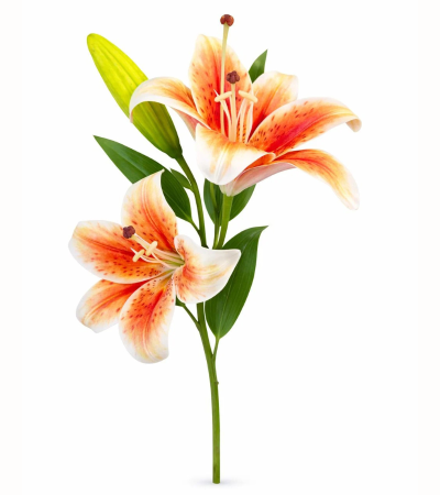 Flori Artificiale - Crin artificial portocaliu cu alb cu 2 flori si boboc aspect natural elegant 35 cm