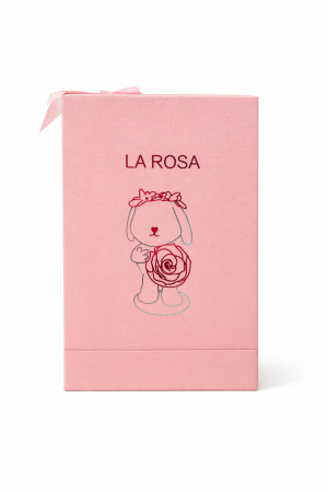 Iepuras cu trandafir in vitrina 22x15x15 cm, 1kg cu sertar bijuterii si punga cadou [2]