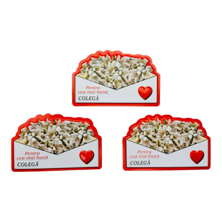 Magnet, Aranjament cu Ghiocei " Pentru cea mai buna COLEGA" 10×7cm  [3]