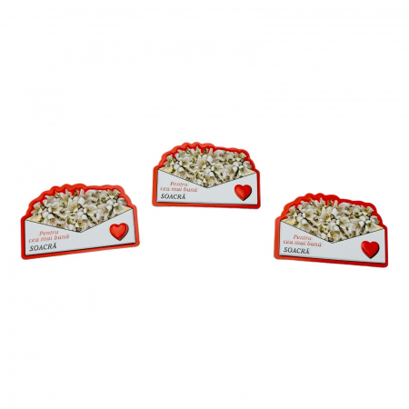 Magnet, Aranjament cu Ghiocei " Pentru cea mai buna SOACRA" 10×7cm  [3]