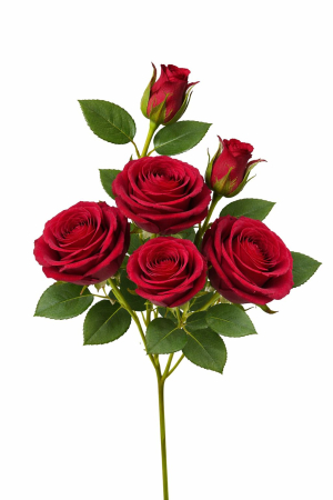 Flori Artificiale - set-3-trandafiri-2-boboci-rosii-artificiali