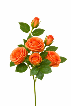 Flori Artificiale - set-3-trandafiri-2-boboci-portocalii-artificiali