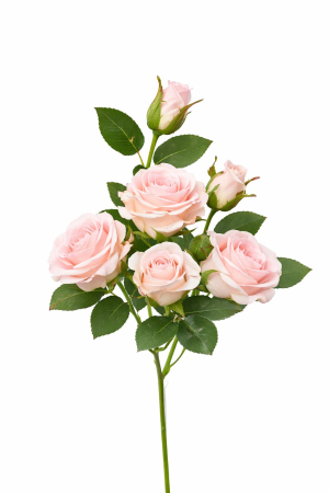 Flori Artificiale - set-3-trandafiri-2-boboci-roz-deschis-artificiali