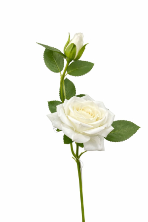 Flori Artificiale - Trandafir artificial, 45 cm, Fir cu boboc, Alb