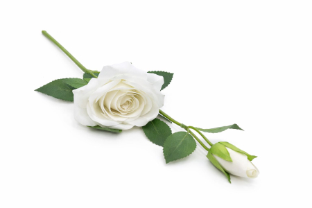 Trandafir artificial, 45 cm, Fir cu boboc, Alb [2]