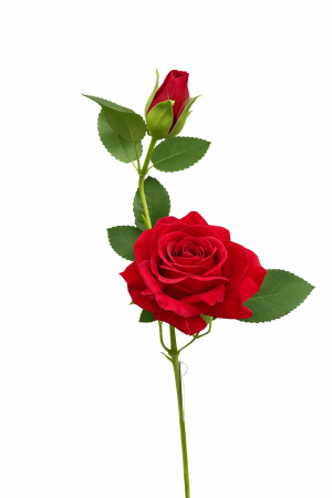 Trandafir artificial, 45 cm, Fir cu boboc, Bordo [2]