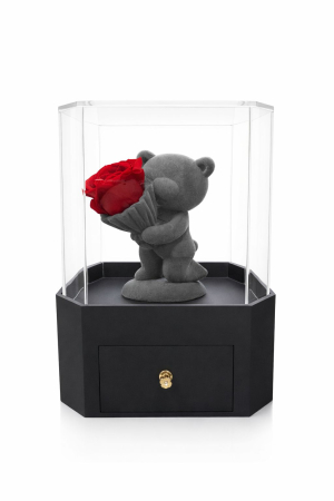 Cupole cu flori naturale criogenate - Trandafir criogenat natural in vitrina 22x15x15 cm, 1kg cu compartiment bijuterii si punga