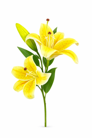 Flori Artificiale - Crin artificial galben intens cu 2 flori si boboc aspect natural elegant 35 cm