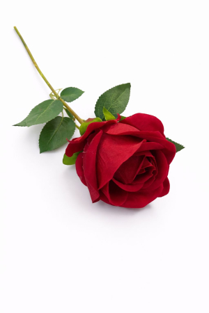 Idei de Cadouri - Trandafir artificial rosu cu petale catifelate si frunze 46 cm calitate superioara