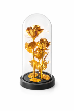 Idei de Cadouri - Cupola plastic cu trandafiri aurii LED, decor luminos 20 cm, cadou elegant