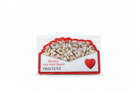 Idei de Cadouri - Magnet martisor cu mesaj Pentru cea mai buna prietena, 10x6cm