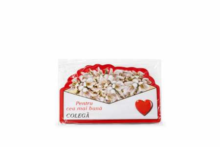 Aranjamente florale - Magnet martisor cu mesaj Pentru cea mai buna colega, cadou simbolic de primavara, 10x6cm