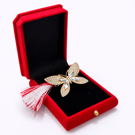 Martisoare - Brosa Fluture Martisor cu Strasuri Argintii in Cutie de Catifea
