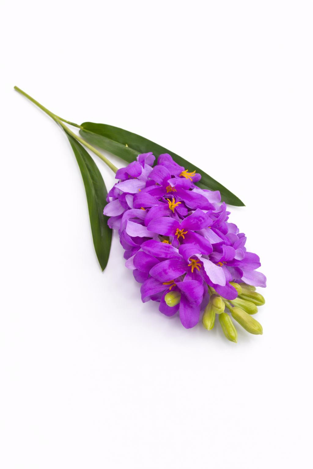 Zambila artificiala eleganta mov aprins, 31 flori si 9 boboci, 75 cm [2]