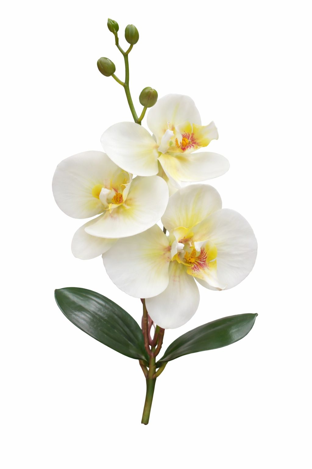 Orhidee artificiala verde crud cu 3 flori si boboci, frunze decorative 37 cm [2]