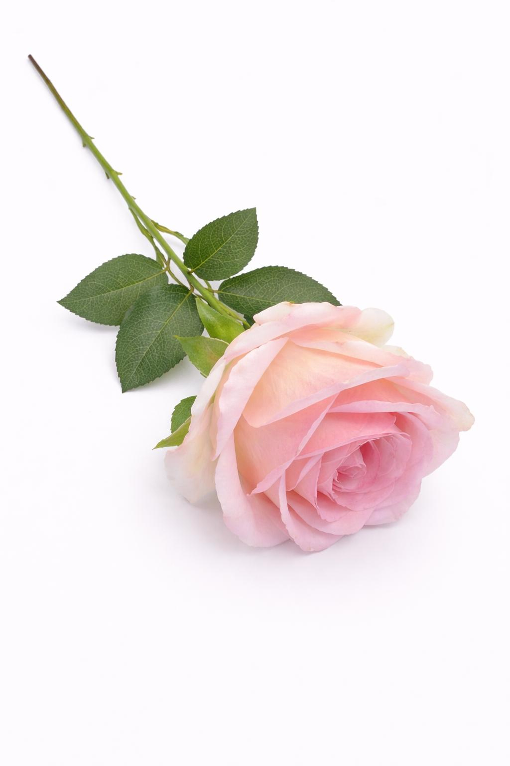 Trandafir artificial crem cu roz petale catifea 50 cm diametru floare 8-9 cm [2]