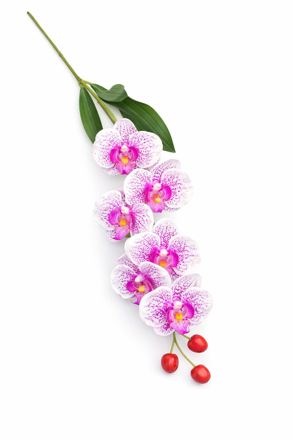 Orhidee artificiala eleganta alba cu accente mov, 6 flori si 3 boboci, 60 cm [1]