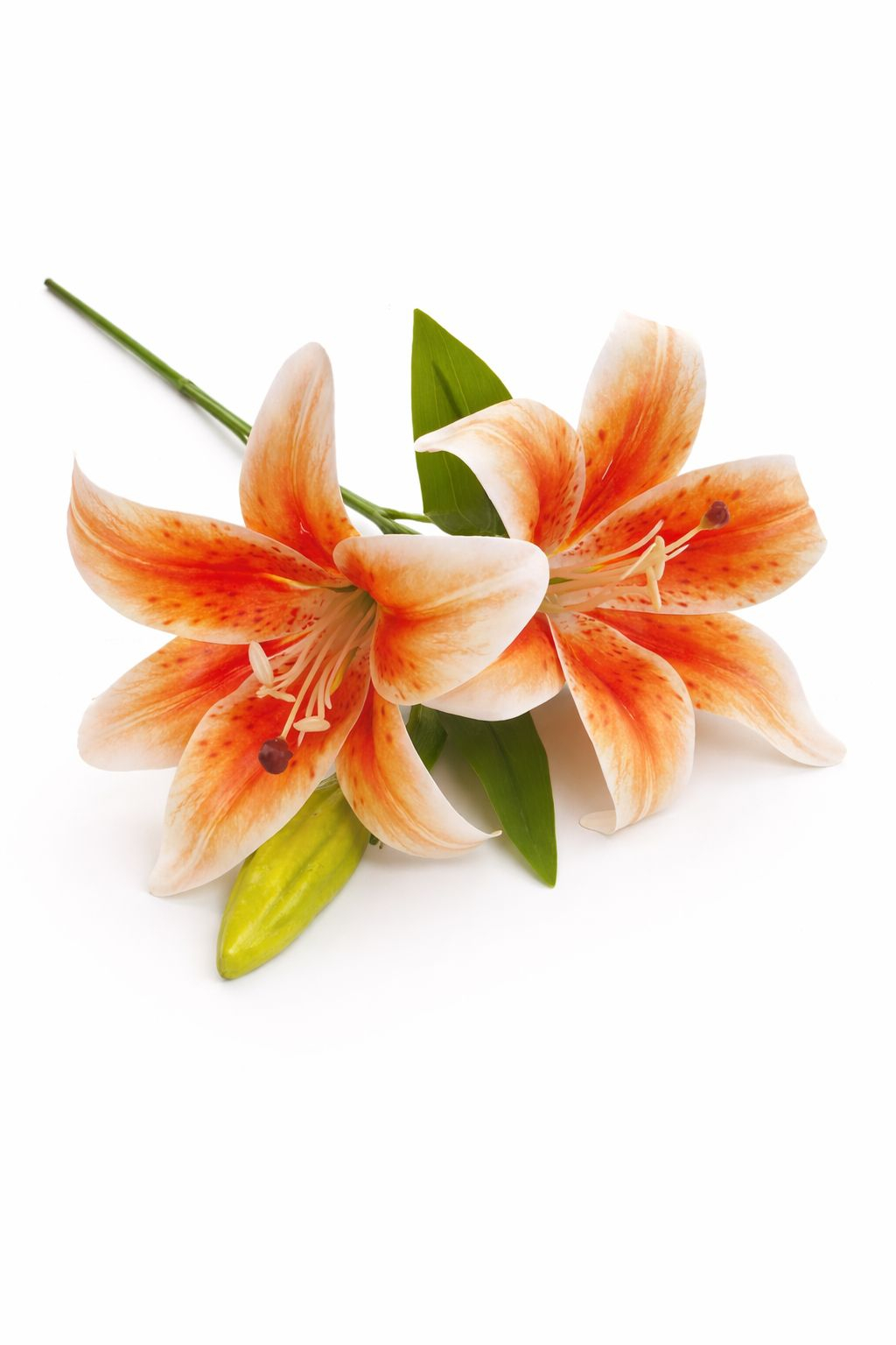 Crin artificial portocaliu cu alb cu 2 flori si boboc aspect natural elegant 35 cm [1]