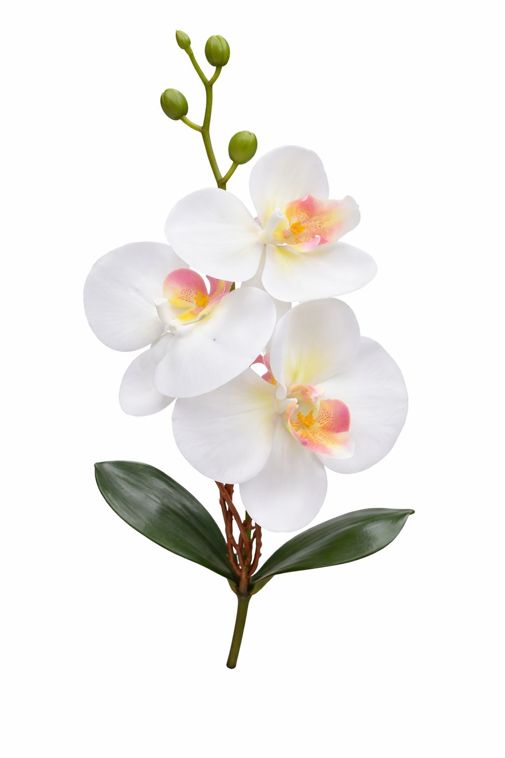 Orhidee Artificiala Alba Eleganta, 3 Flori cu Boboci, Aspect Natural, Inaltime 37 cm [2]