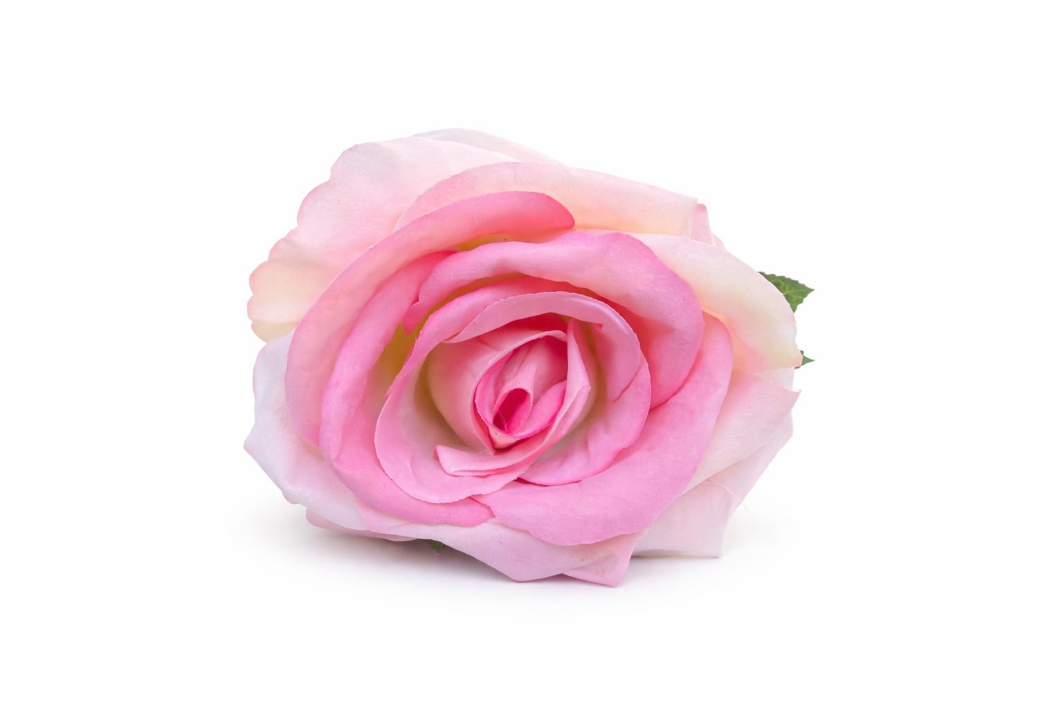 Trandafir artificial crem cu roz petale catifea 50 cm diametru floare 8-9 cm [1]