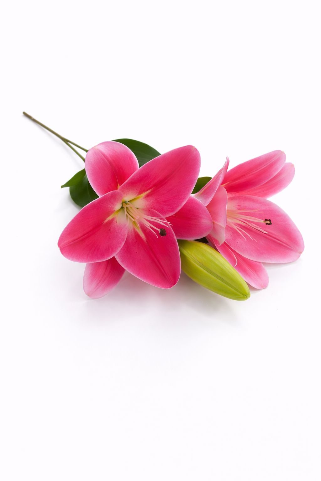 Crin artificial roz intens elegant cu 2 flori si boboc decorativ pe fir unic 63 cm [2]