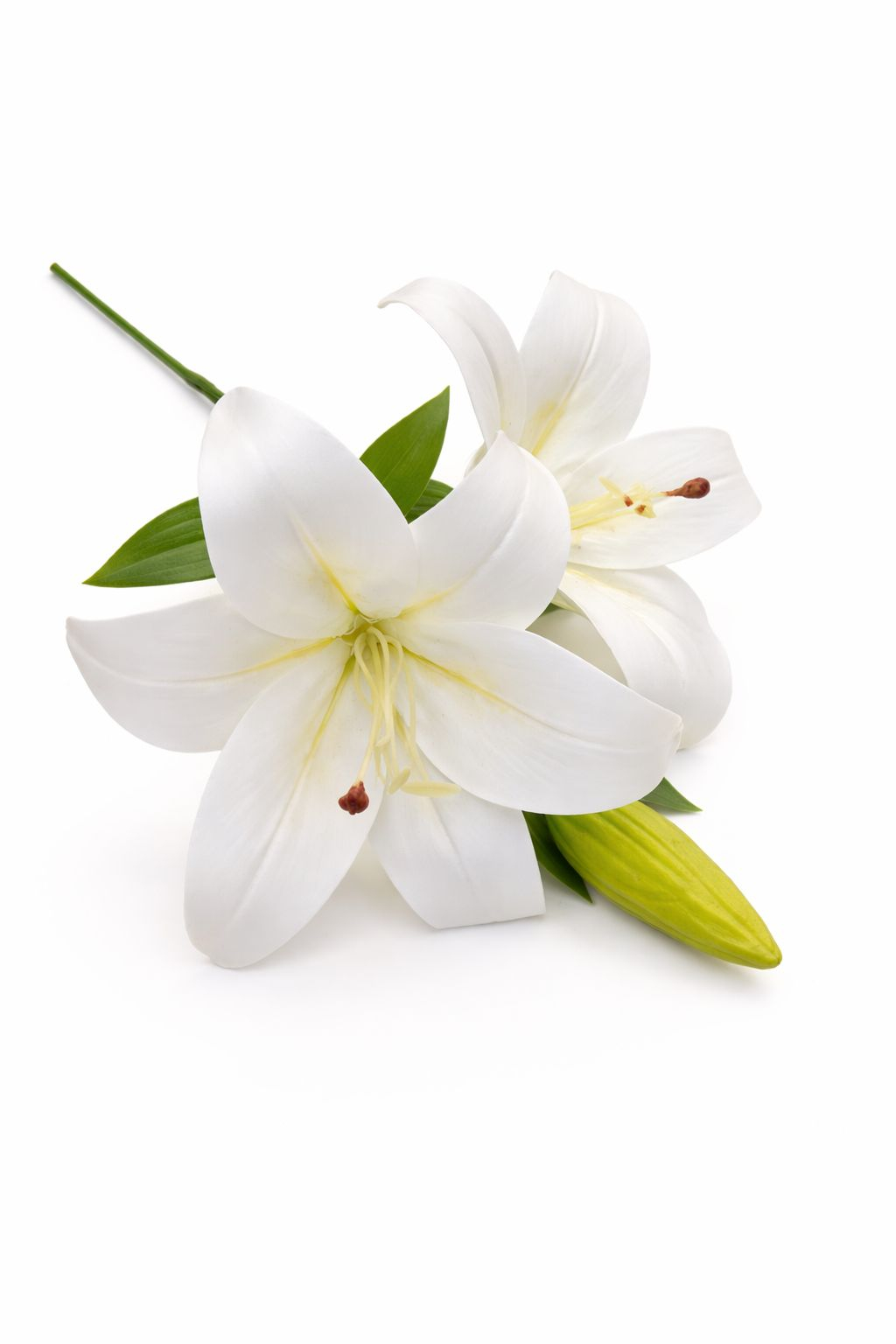 Crin artificial alb delicat cu 2 flori si boboc aspect elegant decorativ 35 cm [1]