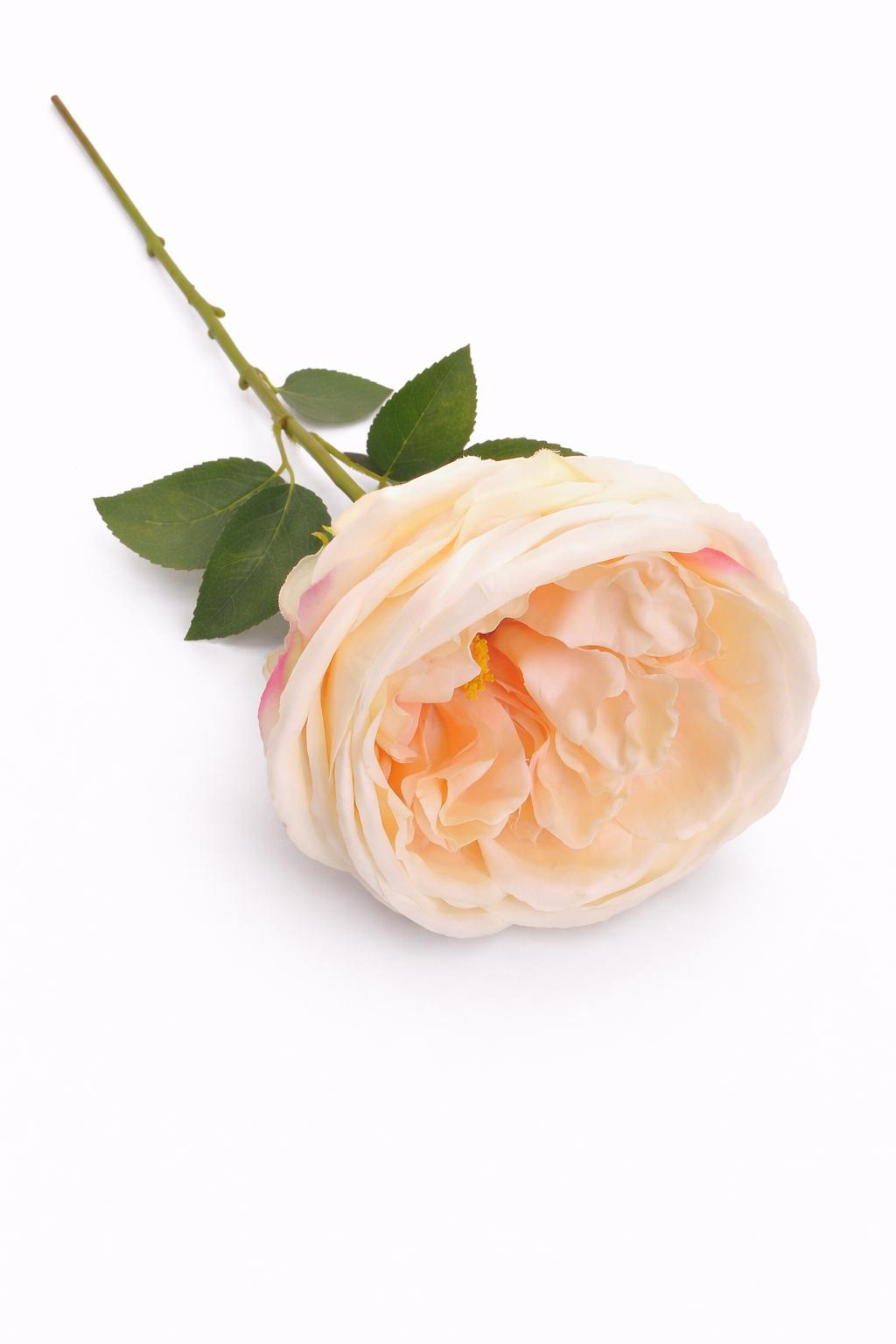 Trandafir artificial crem discret extrabogat cu petale 50 cm diametru floare 10 cm [2]