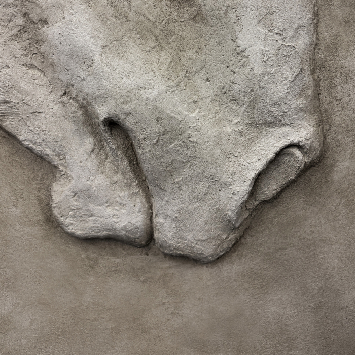 Basorelief artistic in ipsos – Amici [4]