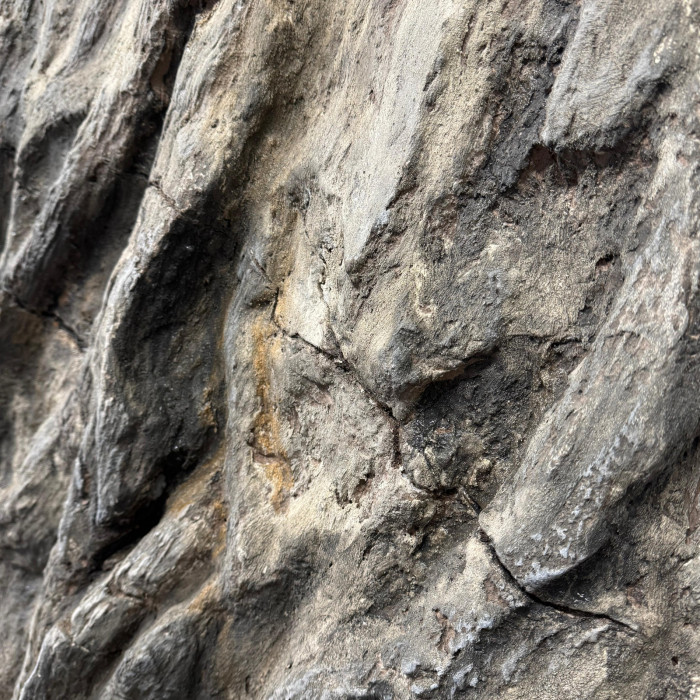 Curs practic - roca sedimentara clasica [6]