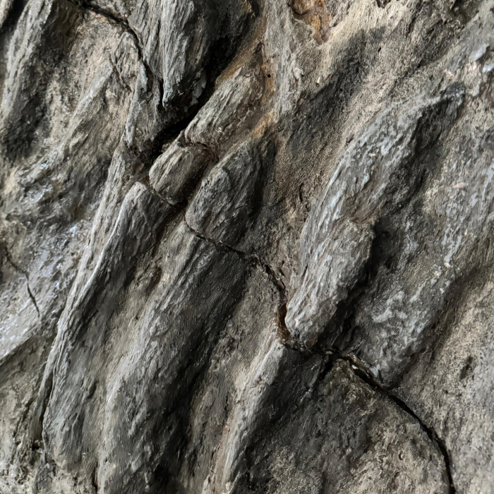 Curs practic - roca sedimentara clasica [9]