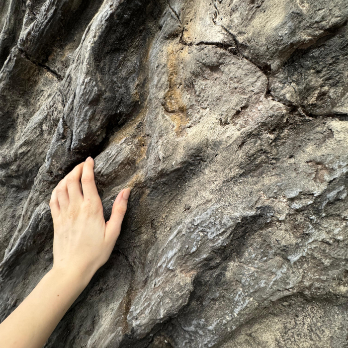 Curs practic - roca sedimentara clasica [4]