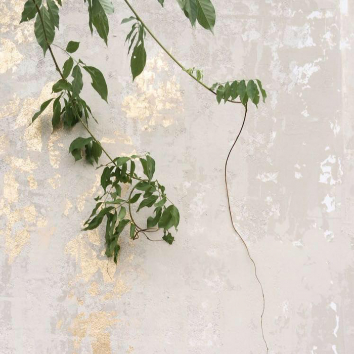 Vopsea decorativă cu efect de catifea - Touch Cream [2]