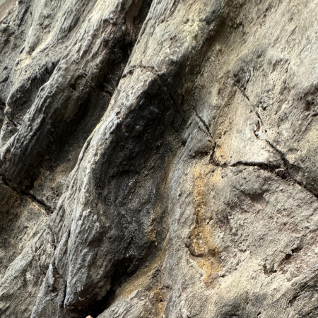 Curs practic - roca sedimentara clasica [2]