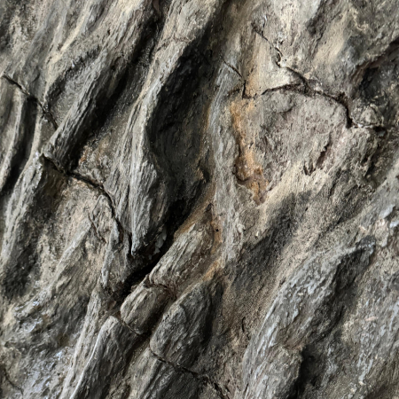 Curs practic - roca sedimentara clasica [1]