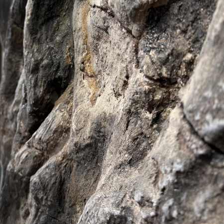 Curs practic - roca sedimentara clasica [7]