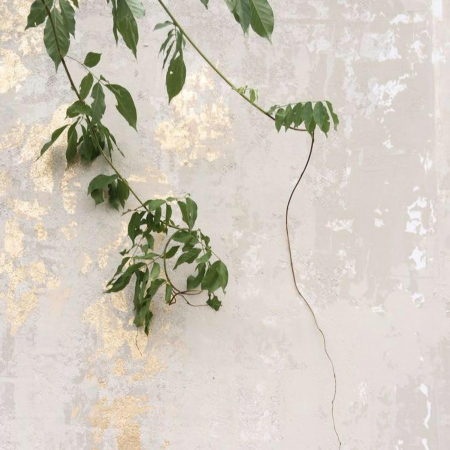 Vopsea decorativă cu efect de catifea - Touch Cream [1]