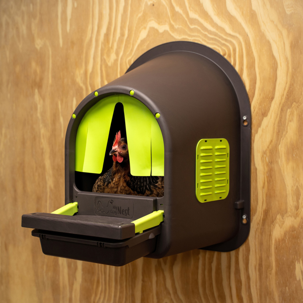 Cuibar de plastic MyCozyNest Roll- verde lime/maro, cu un loc de ouat si colector de oua cu usa rabatabila, LN6 [4]