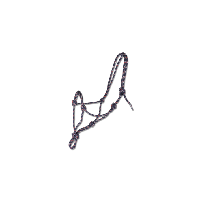 Capastru cai funie [4]