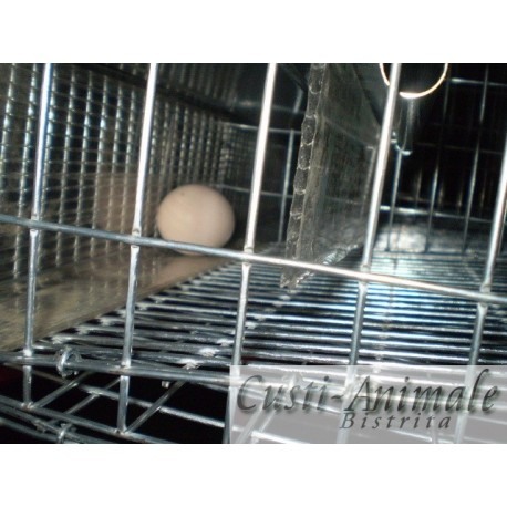 Cuib de ouat cu doua locuri [9]