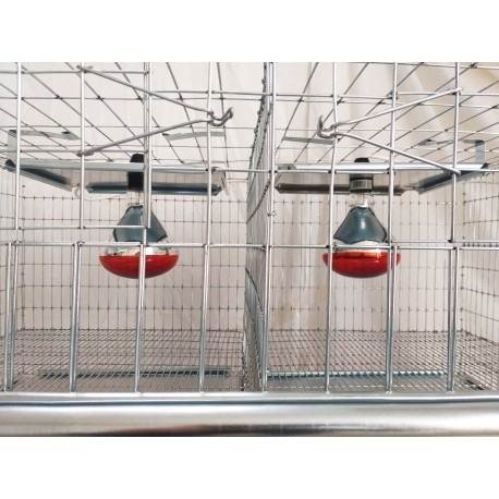 Cusca crestere pui cu incalzire, 100x65x45 cm [3]