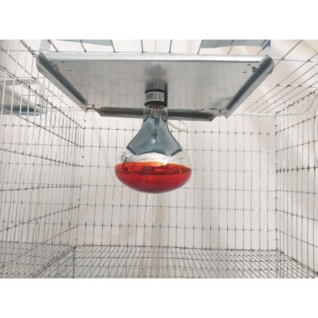 Cusca crestere pui cu incalzire, 100x65x45 cm [5]