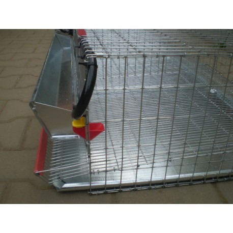 Cusca de prepelite oatoare,  200 cm ( 100~120 buc) [7]