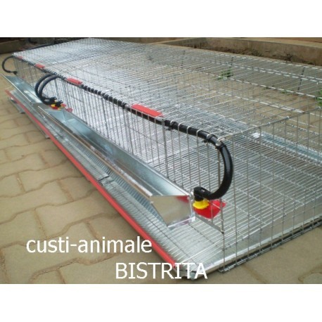 Cusca de prepelite oatoare,  200 cm ( 100~120 buc) [6]