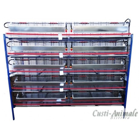 Cusca de prepelite oatoare,  200 cm ( 100~120 buc) [10]