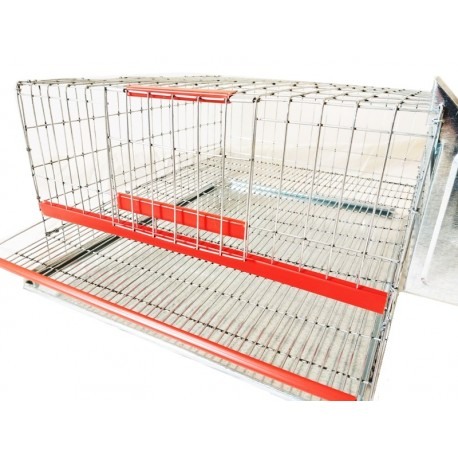 Cusca de prepelite ouatoare 45 cm, pentru 25 bucati [4]