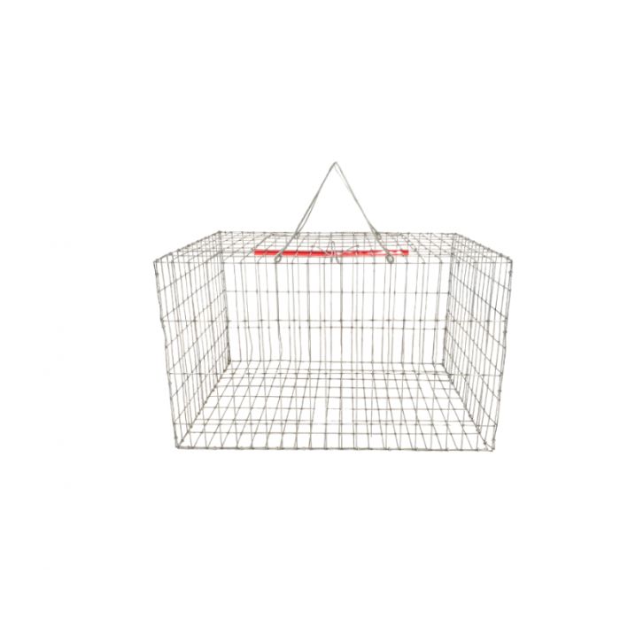 Cusca de transport animale pasari, 40x40x25 cm [2]